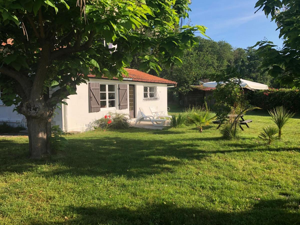 Villa Orcas Leon Exterior photo