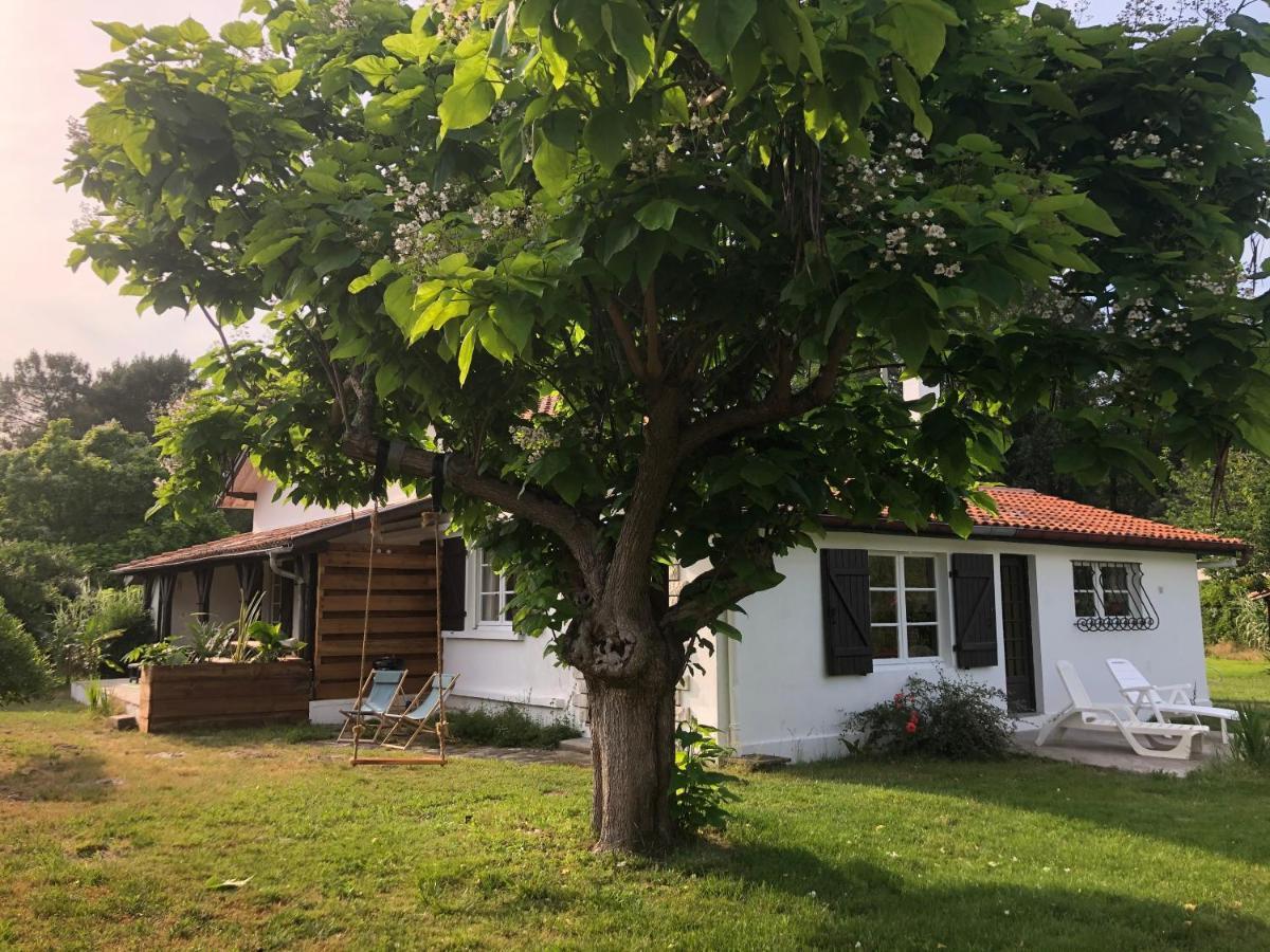 Villa Orcas Leon Exterior photo