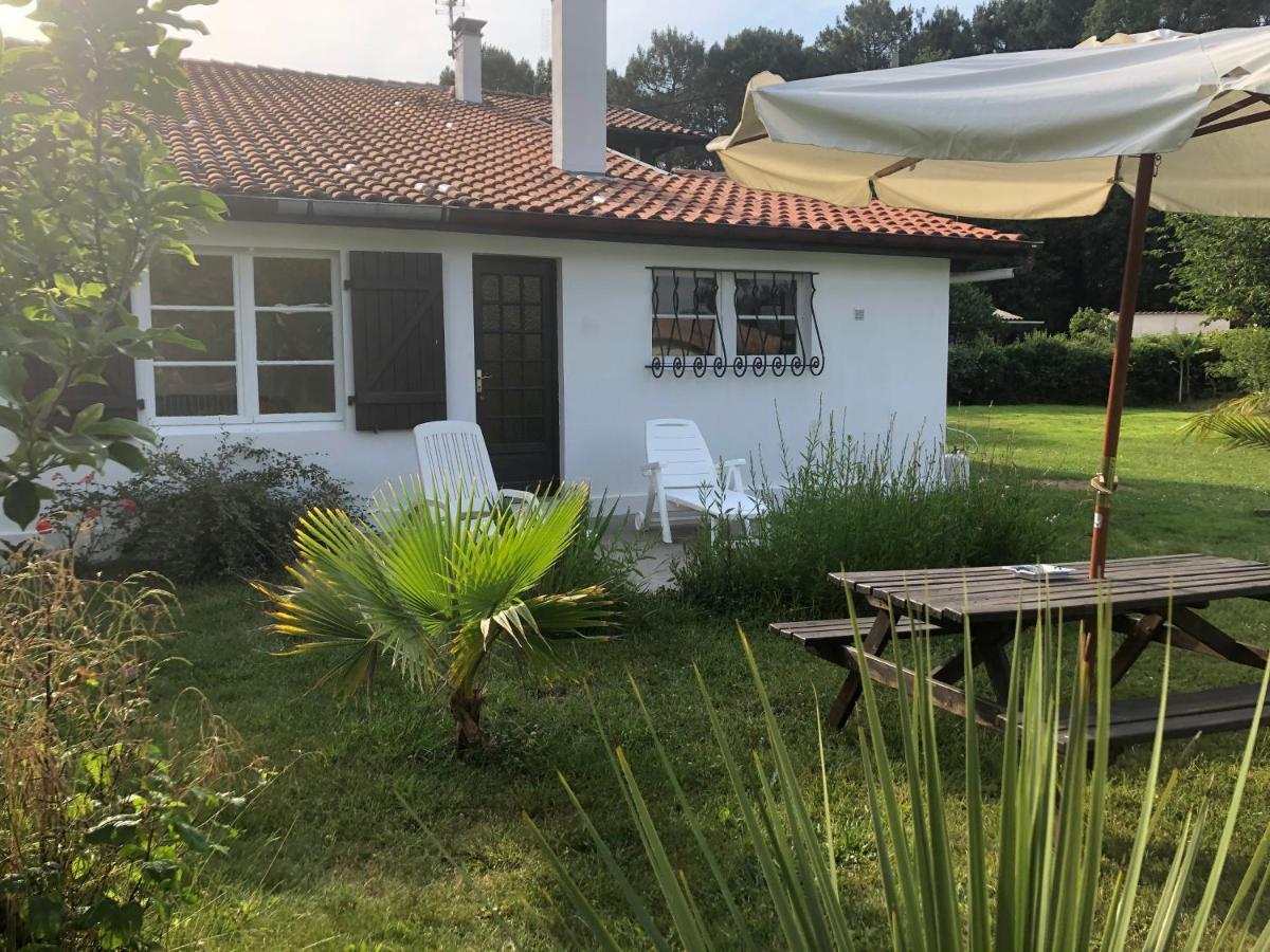 Villa Orcas Leon Exterior photo